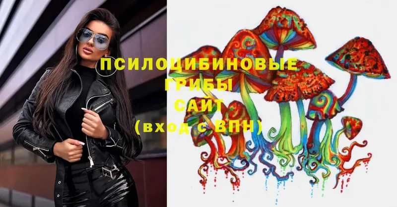 Псилоцибиновые грибы Magic Shrooms  Мегион 