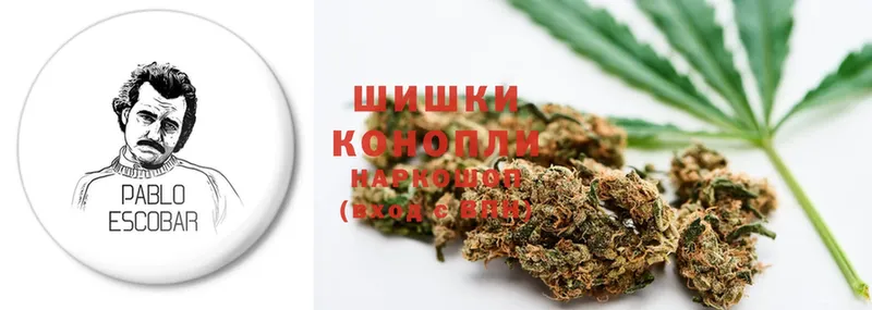 продажа наркотиков  Мегион  Бошки марихуана THC 21% 